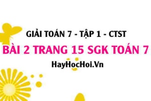 Giải bài 2 trang 15 Toán 7 Tập 1 SGK Chân trời sáng tạo